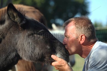 Man kissing a donkey - France