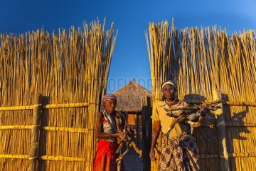 Women with firewood - Okavango Delta Botswana