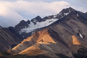 Snowcapped - Denali NP Alaska