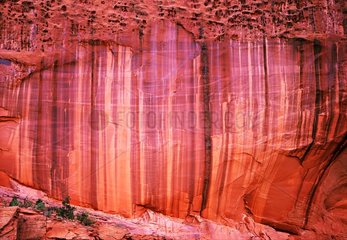 Gemalt aus der Wüste und Badlack Klippenlicht in den USA