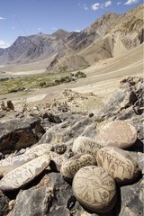 Stones engraved Zangla River Valley Zanskar India