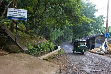 Eingang zum sinharaja Forest Reserve Sri Lanka