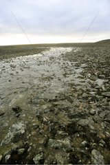 Fluss am arktischen Hochland Somerset Island Kanada