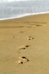 Step traces on the sand of the beach of Sète Herault France