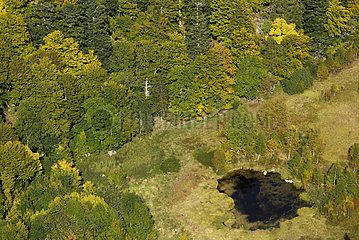 Forest on scree   bog of Frankenthal since Falimont pass   Nature Reserve Frankenthal - Missheimle near Le Hohneck   High Vosges  France