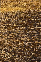 Reflets dorés à la surface d'un bras de mer enTasmanie