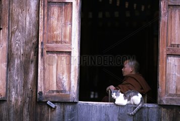 Cat lying down on a temple windowsill Burma