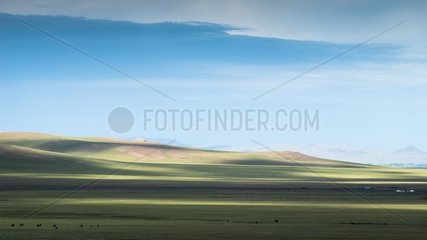 Herds and herders on the site of Tsaritsyn Ereg  Valley High Tamir - Mongolia