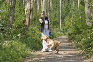 Pregnant woman playing with her Labadror Retriever France