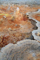 Concretions coloured by sulphur  potassium and iron  Dallol volcano  Danakil depression  Ethiopia