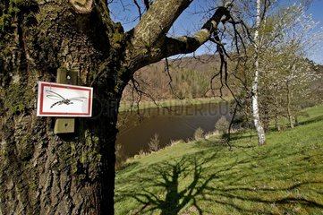 Panneau d'un sentier de découverte PNR des Vosges du Nord
