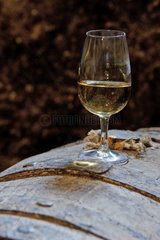 Verre de vin sur un tonneau de chêne dans une cave Jura