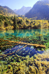 Colorful lake  Jiuzhaigou valley  Sichuan  China