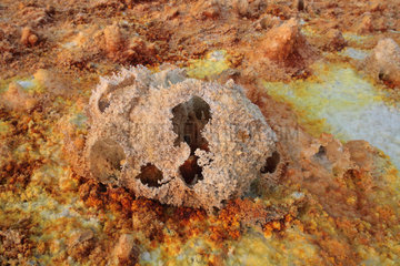 Salt concretions coloured by sulphur  potassium and iron  Dallol volcano  Danakil depression  Ethiopia