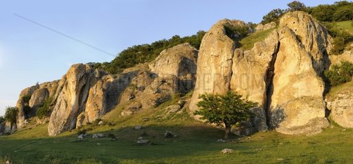 Mesozoic Lime rocks  Geological Reserve Cheile Dobrogei  Danube Delta  Romania