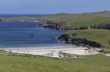 Unst island landscape in spring  Shetland  Scotland