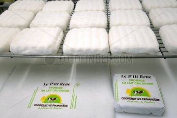 Raw milk cheese Le P'tit René   Cave refining  Cheese Cooperative Plateau of Bouclans  Haut-Doubs  Franche-Comté  France