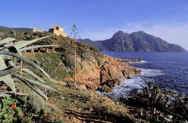 Festung von Girolata in South Corse France