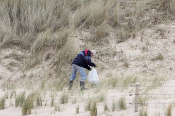 Cleaning the beach of the Anse du Croc  Brittany  France