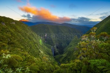 Waterfall in the Trou de Fer  Piton des Neiges Massif  Reunion Island