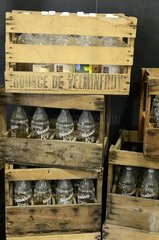 Old bottlie boxes  water museum   Velleminfroy   Franche -Comté   France