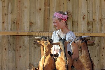 Goatherd and Alpine Goats of the goat farm of Saint-Nicolas-de-Bliquetuit  Normandy  France