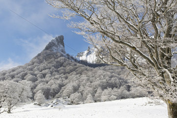 The Crête de Coq and the Dent de la Rancune in the snow Nature Reserve Chaudefour Valley  PNR Volcans d'Auvergne  Auvergne  France