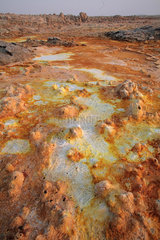 Dallol hot spring with salt concretions coloured by sulphur  potassium and iron  Dallol volcano  Danakil depression  Ethiopia