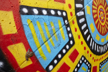 Garden Snail (Helix aspersa) on a wall covered with graffiti  France