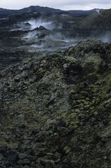 Lava -Feld in der Gegend von Krafla Myvatn Islande