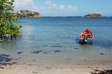 Rowing boat docked on the beach of Tartane Martinique