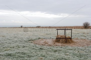 Hay in a frozen meadow Sotteville France