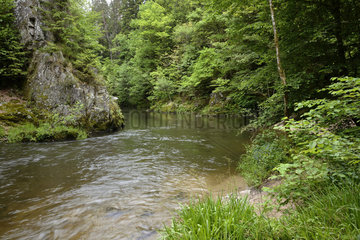 Moselotte River in the Gorge Crosery - Vosges France