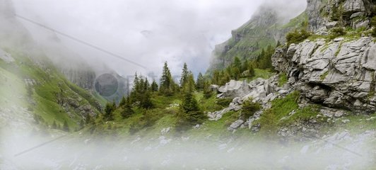 Saales pass in the Mist  Nature Reserve Sixt-Passy  Haute-Savoie  Alps  France