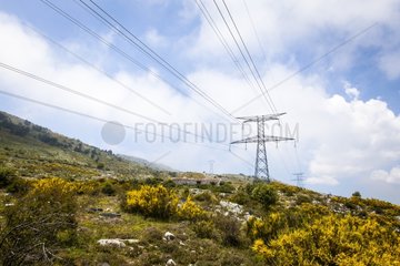 High voltage line over a sheep - France