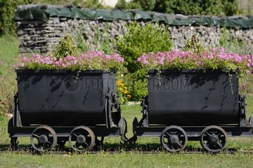 Flower mine cars   in memory of mining polymetallic mines - lead  silver  copper and molybdenum - since the sixteenth century   Haut-du-Them-Château-Lambert   Franche -Comté   France