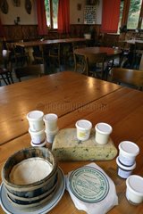Dairy products from the farm : Tomme mountain or Bargkass with ramsons   Munster   Munster cream   yogurt and white cheese in a wooden mold  Farmhouse Graine Johe   the Bagenelles Pass   High Vosges  Alsace  France