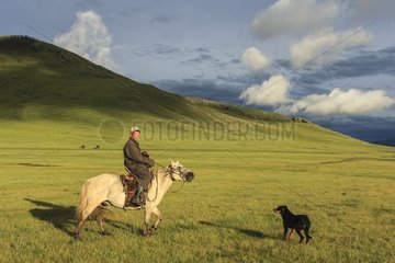 Mongolian horseman and dog in the steppe - Mongolia