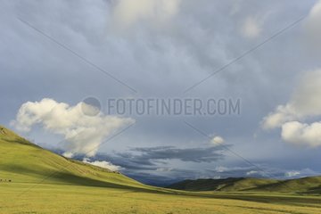 Steppe landscape in the late afternoon - Mongolia