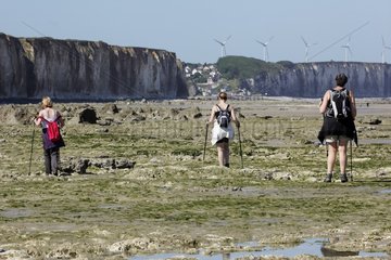 Hikers at low tide on the beach of Sotteville-sur-Mer  Normandy  France