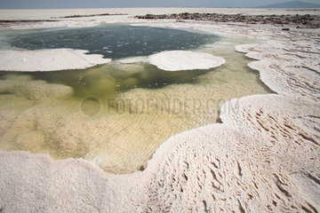 Salt Formations on Saltwater Lake  Dallol  Danakil Desert  Ethiopia
