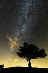 The Milky Way in the Jura sky  Crest Colombier   Ain  France