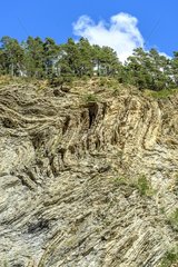 Folds very marked in flysch to Jausiers   High Ubaye   Alpes-de-Haute-Provence   France