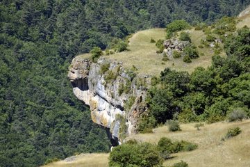 Jonte gorges - Causse Mejean - Lozère - Cevennes National Park - France