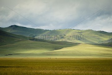 Mongolian steppe  Tsaritsyn Ereg - Province of Arkhangai - Mongolia