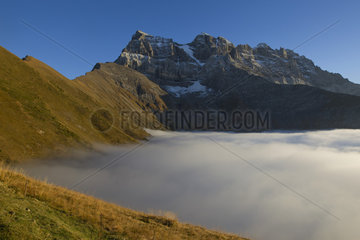 Sea fog ( Stratus ) before the Aiguilles du Midi   Valais Alps  Switzerland