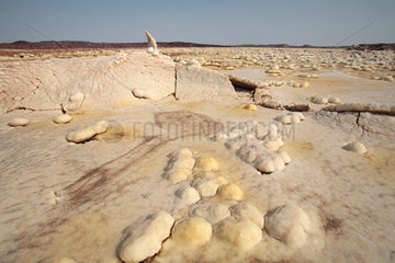 Salt Formations  Dallol  Danakil Desert  Ethiopia
