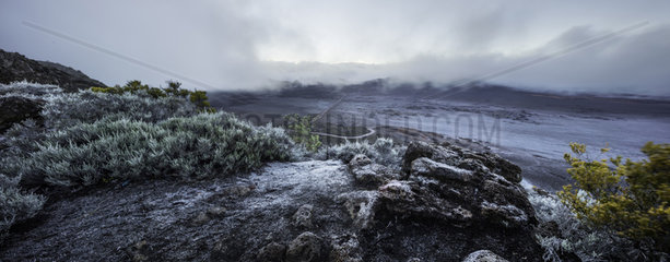 Frost at dawn on the slag of the Plaine des Sables  Reunion Island