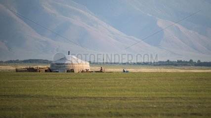 Mongolian yurt  Province of Khoevsgoel - Mongolia