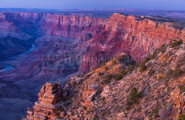 Grand Canyon National Park  Arizona  Usa  America